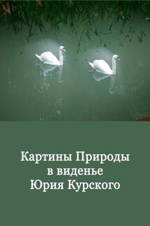 Картины Природы в виденьи Юрия Курского. Том 1
