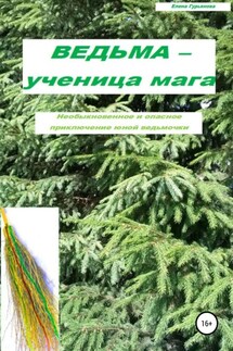 Ведьма – ученица мага