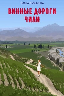 Винные дороги Чили