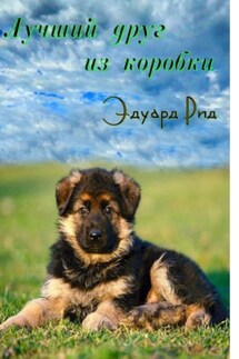 Лучший друг из коробки