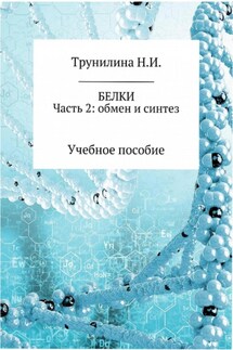 Белки. Часть 2: обмен и синтез