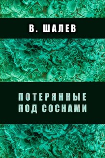Потерянные под соснами