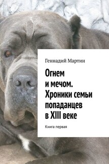 Огнем и мечом. Хроники семьи попаданцев в XIII веке. Книга первая