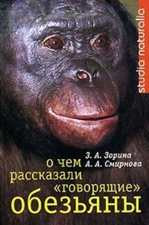 О чем рассказали «говорящие» обезьяны: Способны ли высшие животные оперировать символами?