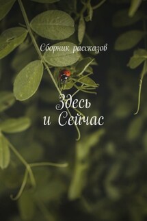 Здесь и сейчас