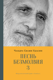 Песнь безмолвия. Книга 3