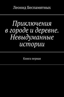 Приключения в городе и деревне. Невыдуманные истории. Книга первая