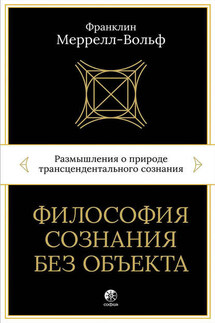 Философия сознания без объекта. Размышления о природе трансцендентального сознания