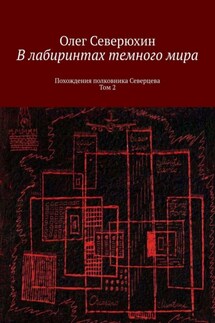 В лабиринтах темного мира. Похождения полковника Северцева. Том 2