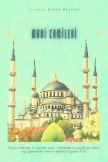 Mavi Camileri. Рассказ-аллегория на турецком языке с переводом на русский для работы над грамматикой, чтения и пересказа (уровень В1—В2)