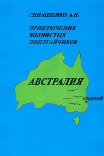 Приключения волнистых попугайчиков