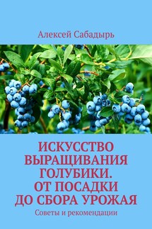 Искусство выращивания голубики. От посадки до сбора урожая. Советы и рекомендации