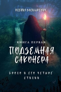 Брохо и его четыре стихии. Подземная Саконера. Книга первая