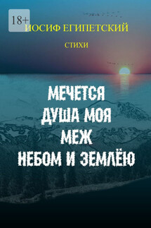 Мечется душа моя меж небом и землёю