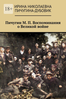 Пичугин М. П. Воспоминания о Великой войне