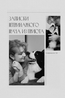 Записки ветеринарного врача из приюта