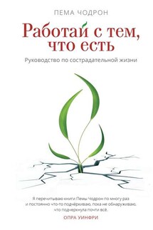 Работай с тем, что есть. Руководство по сострадательной жизни