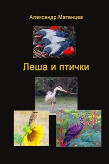 Леша и птички