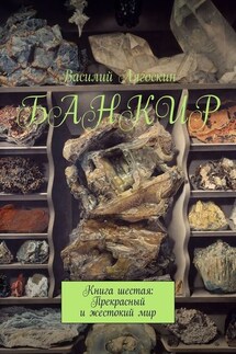 Банкир. Книга шестая: Прекрасный и жестокий мир