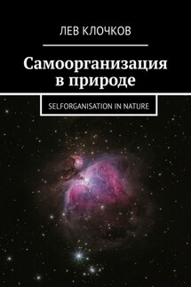 Самоорганизация в природе. Selforganisation in Nature