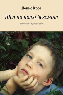 Шел по полю бегемот. Прогулки по Вундеркиндии