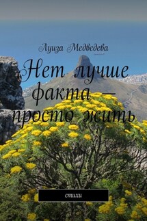 Нет лучше факта – просто жить. Стихи
