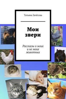 Мои звери. Рассказы о моих и не моих животных