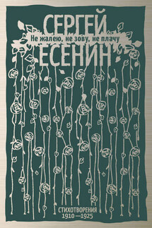 Не жалею, не зову, не плачу. Стихотворения 1910-1925