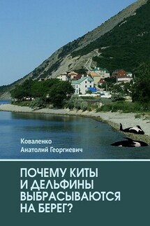 Почему киты и дельфины выбрасываются на берег?