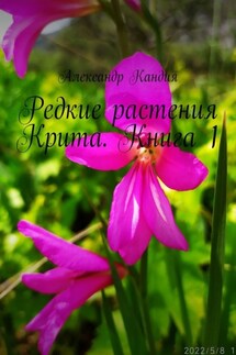 Редкие растения Крита. Книга 1