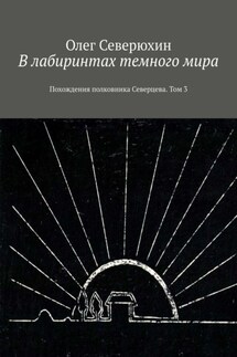 В лабиринтах темного мира. Похождения полковника Северцева. Том 3