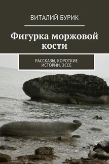 Фигурка моржовой кости. Рассказы, короткие истории, эссе