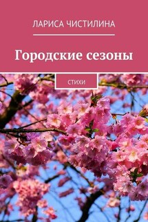 Городские сезоны. стихи