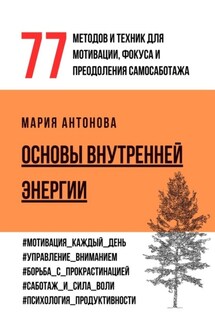 Основы внутренней энергии. 77 методов и техник для мотивации, фокуса и преодоления самосаботажа