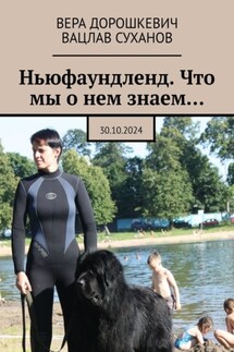 Ньюфаундленд. Что мы о нем знаем… 30.10.2024