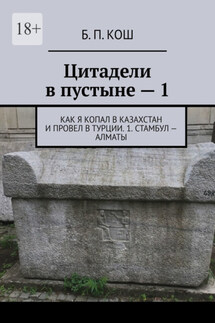 Цитадели в пустыне – 1. Как я копал в Казахстан и провел в Турции. 1. Стамбул – Алматы