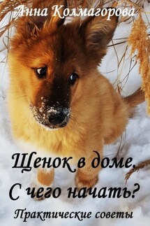 Щенок в доме. С чего начать? Практические советы