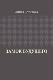 Замок будущего
