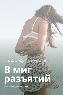 В миг разъятий. Рассказы для взрослых