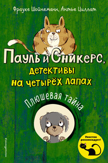 Плюшевая тайна