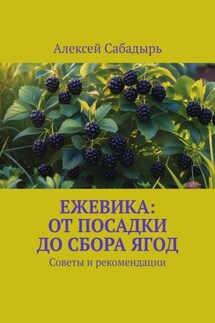Ежевика: От посадки до сбора ягод. Советы и рекомендации