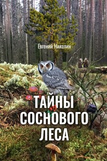 Тайны соснового леса