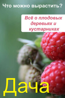 Что можно вырастить? Всё о плодовых деревьях и кустарниках