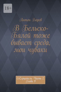 В Бельско-Бялой тоже бывает среда, мои чуваки. СоZерцатель. Часть 2. Глава 9